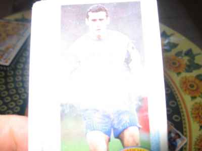 vends collection de cartes panini
