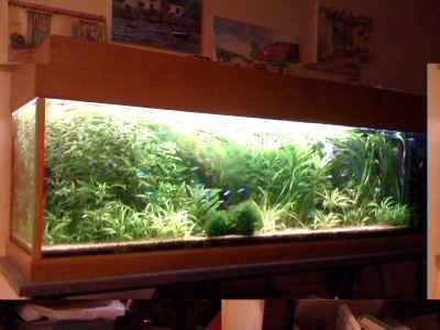 AQUARIUM 600 LITRES 