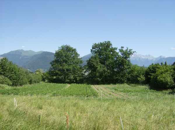 terrain a la mure