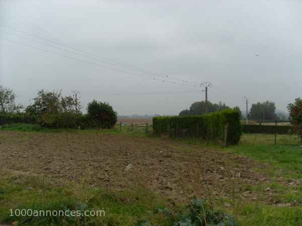 Terrain, Ferme