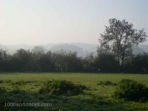 Terrain, Ferme
