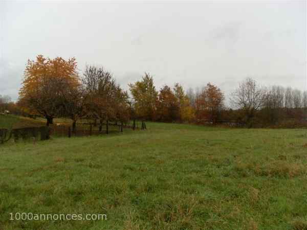 Terrain, Ferme
