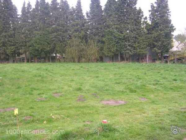 Terrain, Ferme