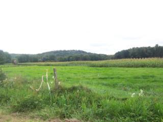 Terrain, Ferme