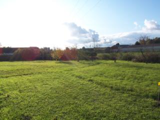 Terrain, Ferme