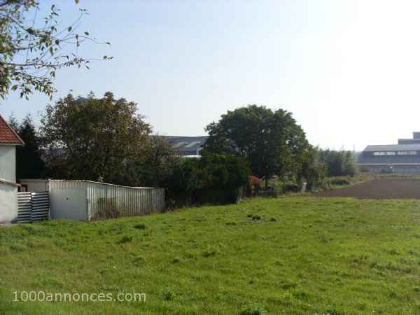 Terrain, Ferme