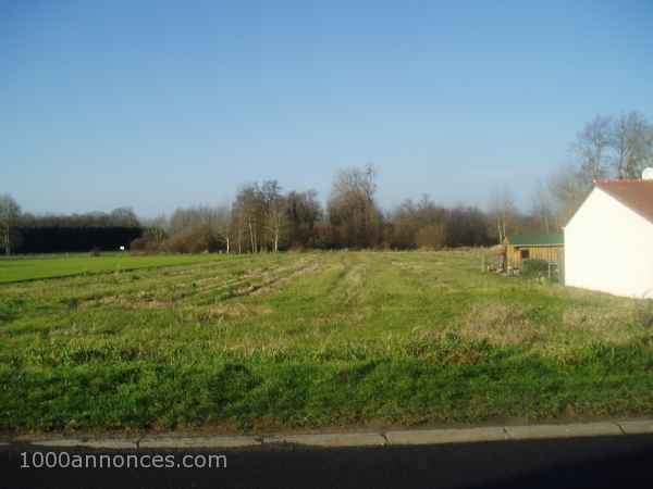 Terrain, Ferme