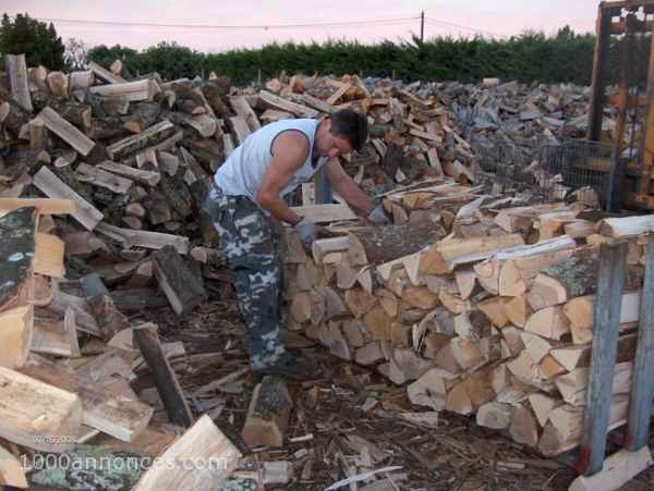 Ameublement et Décoration