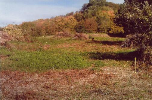 Terrain, Ferme