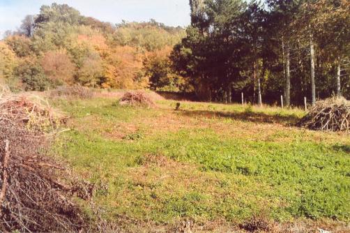 Terrain, Ferme
