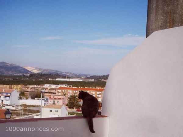 loue charmante maison COSTA BLANCA GANDIA 