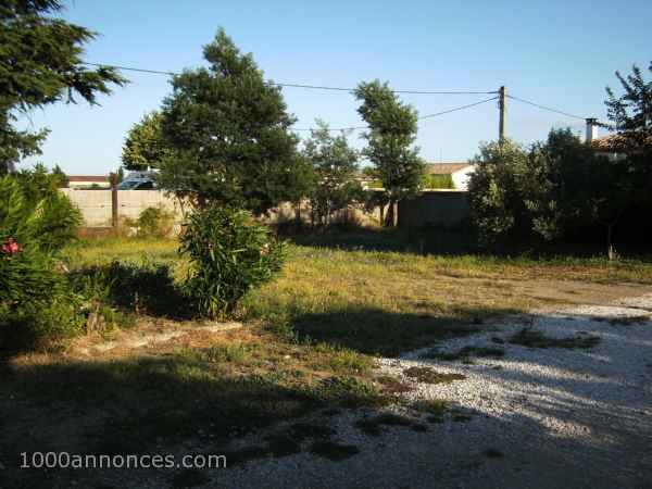 Terrain, Ferme