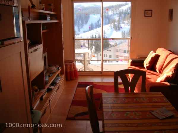 Services immobilier