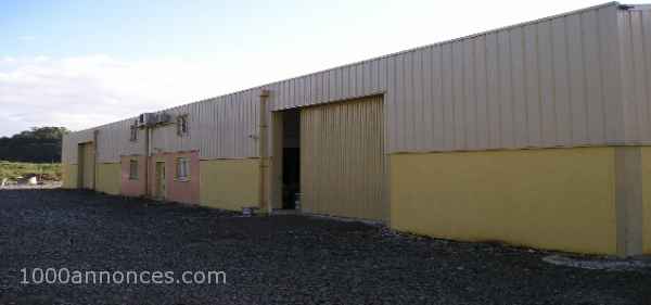 Services immobilier