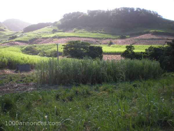 Terrain, Ferme
