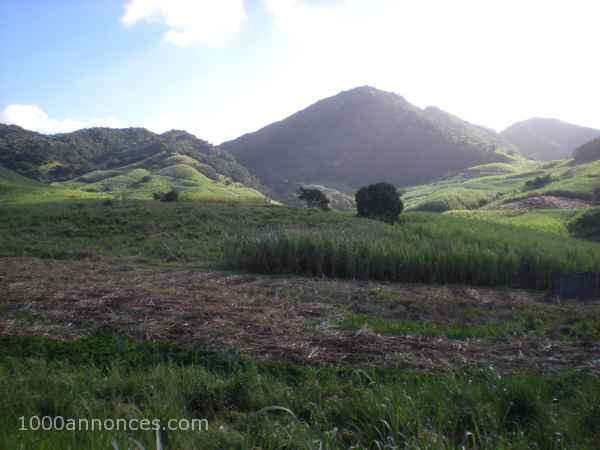 Terrain, Ferme