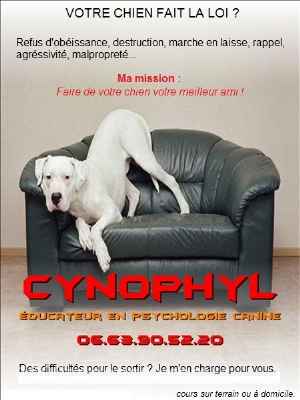 Animaux domestiques