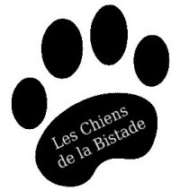 Animaux domestiques