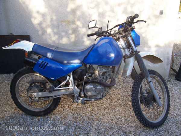 Moto, Quad