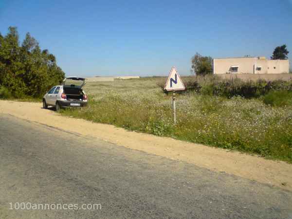 Terrain, Ferme