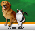 Animaux